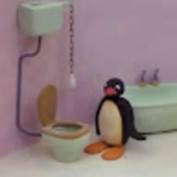 Meet your Posher, Misha - Picture 1 of 1